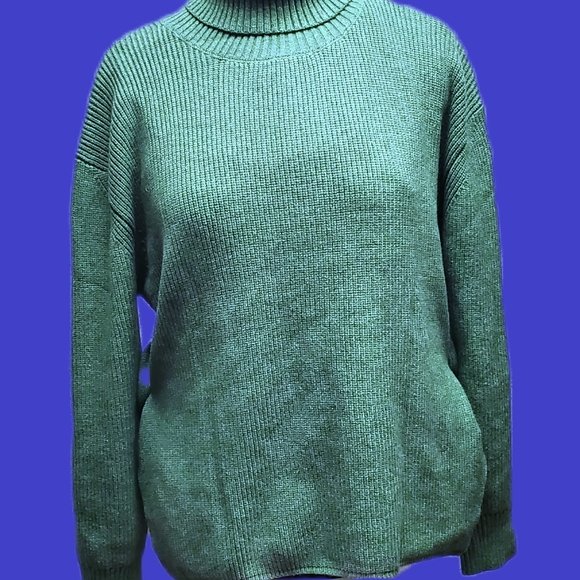 Plus Size Avacado Turtleneck with Split Sides  Plus Size - Picture 1 of 13